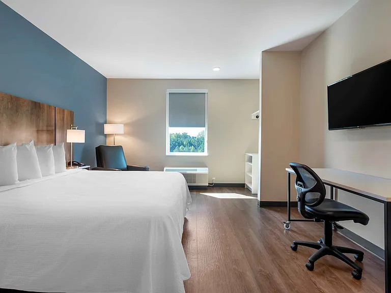 Studio Suite - 1 King Bed