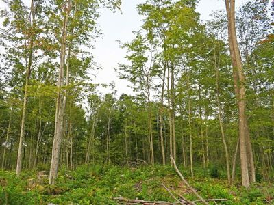 J Parcel Rd, Greenbush, MI, 48738