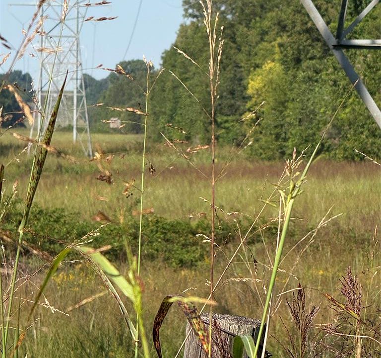 2nd image of 0 N 3503rd Rd