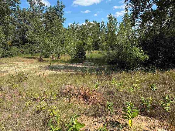 3rd image of V/l Ambrose Rd
