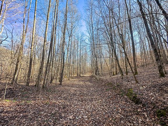 Compass South Land Sales Tennessee 06