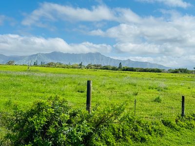 Kilauea Rd, Kilauea, HI, 96754