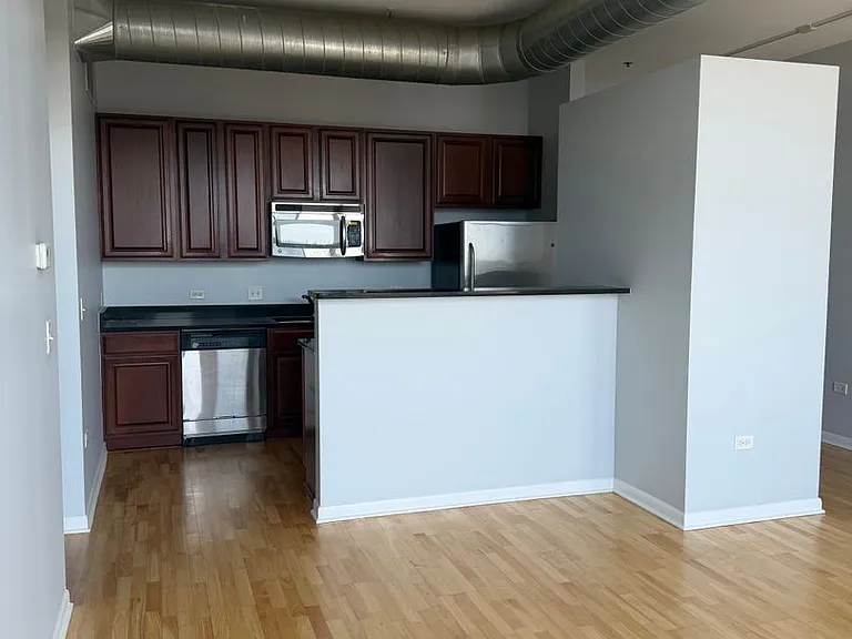 1550 S Blue Island Ave #1211 — Photo 8