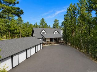 410 Spring Drive, Pine, CO 80470