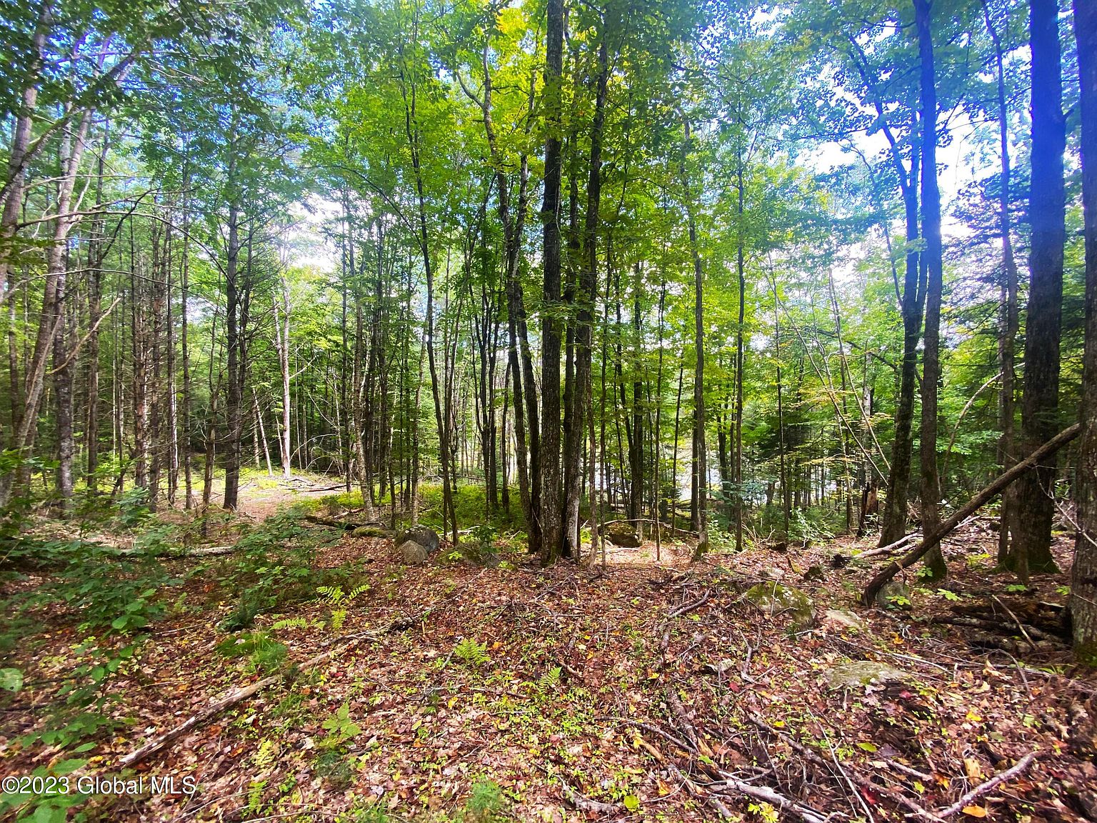 L6.2 Charley Hill Road, Schroon Lake, NY 12870 MLS 202325327 Zillow