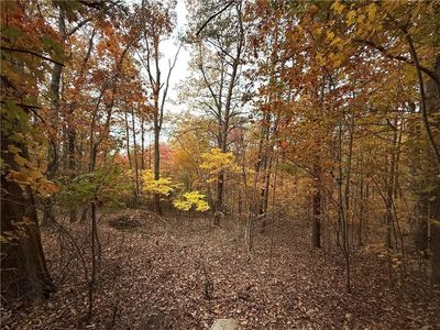 1344 Hunter Dr #1344, Ranger, GA, 30734