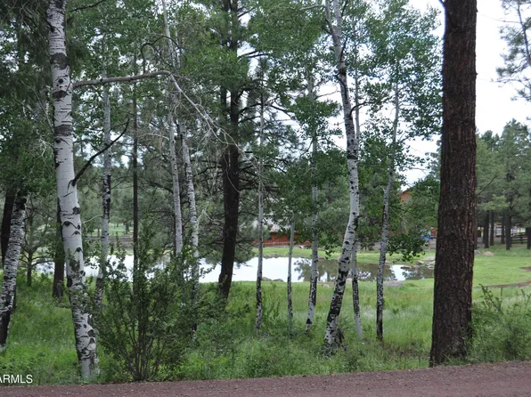 96 CRN 1330 -- #11, Greer, AZ 85927