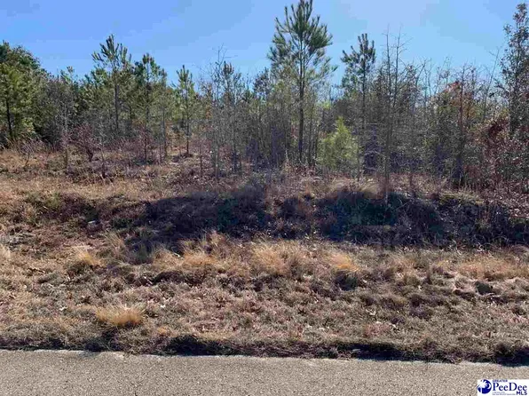 Scott Pond Rd, Hartsville, SC 29550