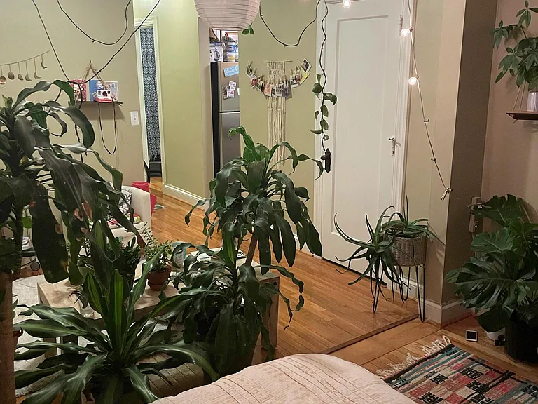 15 E Kirby St #730 — Photo 16