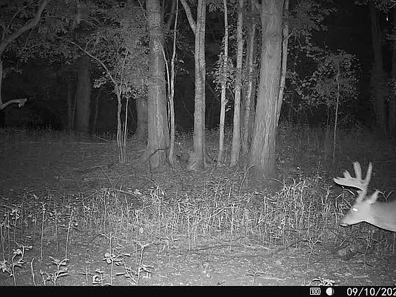 32nd image of this home