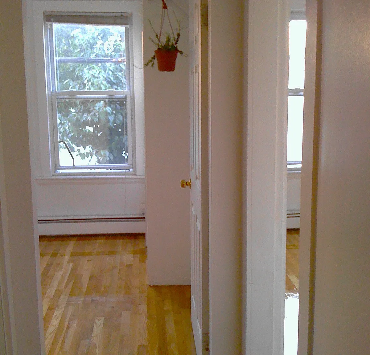 2 bed, 999 sqft, $2,980 — Photo 4