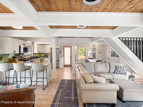 217 Longhorn Ln, Basalt, CO 81621