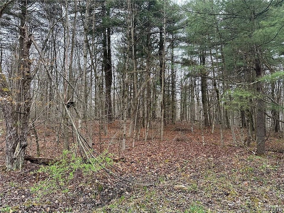2nd image of Donnerville Rd Lot 3