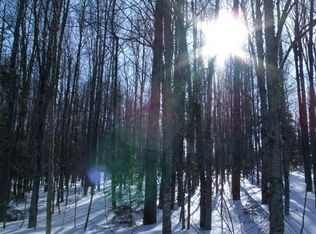 LOT M19 Thirty Seminole Dr, Farmington, ME 04938