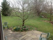 View from kitchen window