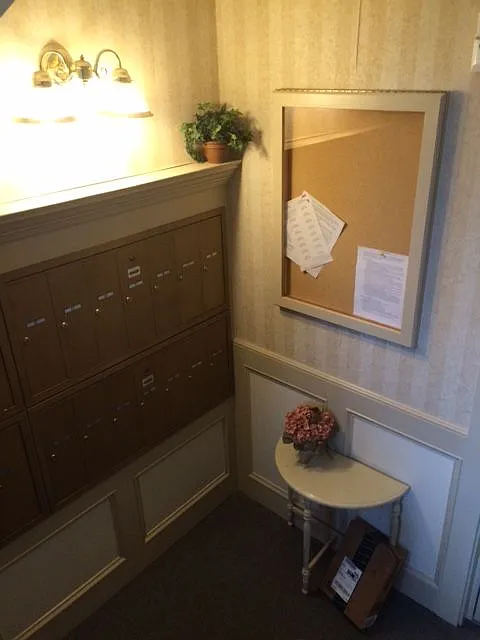 1 bed, $1,125 — Photo 4