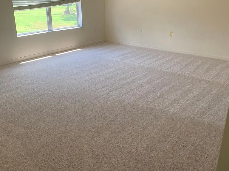 4459 Cherry Branch Ct — Photo 13