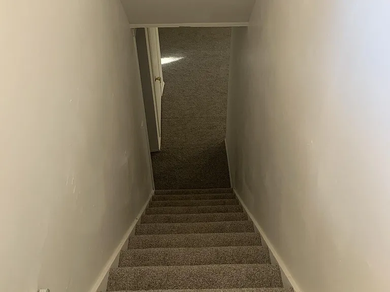 Stairs leading downstairs from kitchen (new carpet)
