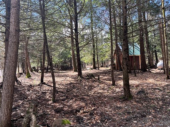 3rd image of 9589 Hopkins Rd