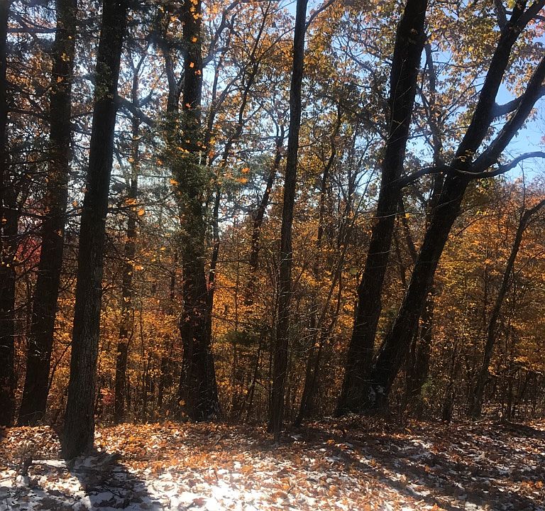 2nd image of 9500 Brotherton Mountain Rd
