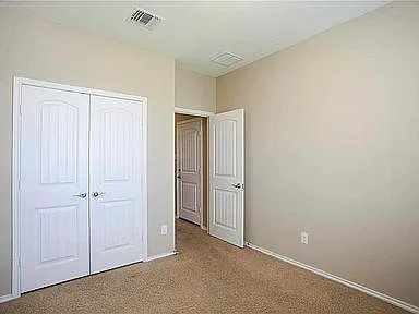 1101 Amazon Lilly Cv — Photo 28