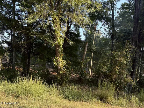 0 Highway 80, Forest, MS 39074