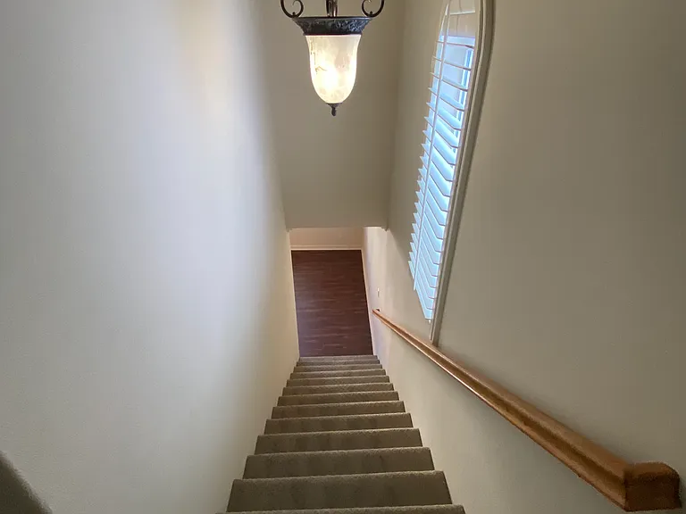 1458 Elin Pointe Dr — Photo 13