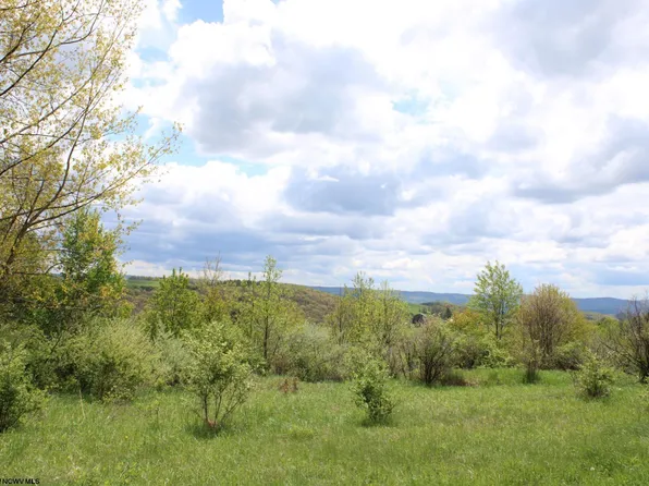 5360 Stemple Ridge Rd, Aurora, WV 26705