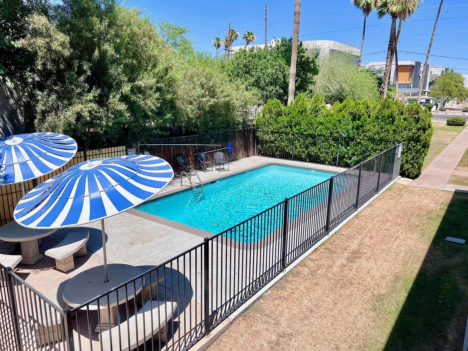 Studio, 450 sqft, $1,095 — Photo 3