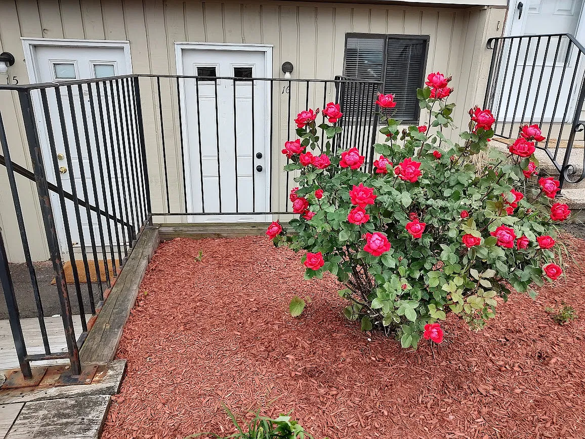 2 bed, 860 sqft, $2,000 — Photo 4