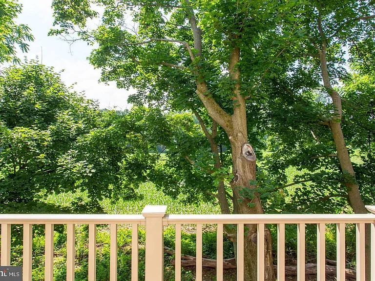 121 Locks Farm Ln — Photo 17