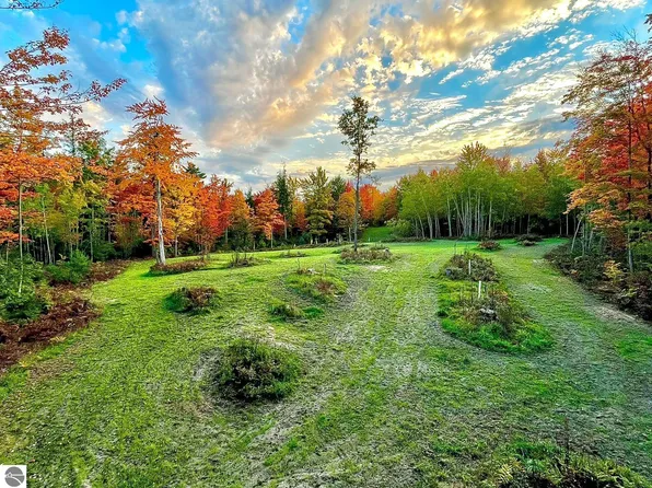 16658 M 115, Marion, MI 49665