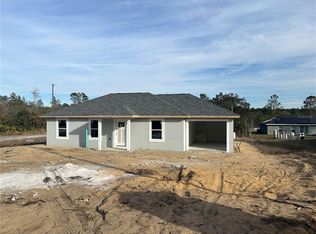 111 Fisher Trace Dr, Ocklawaha, FL 32179