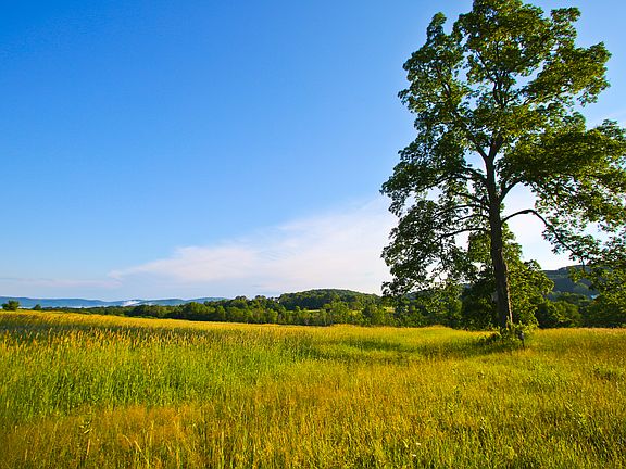 39 Sharon Mountain Road