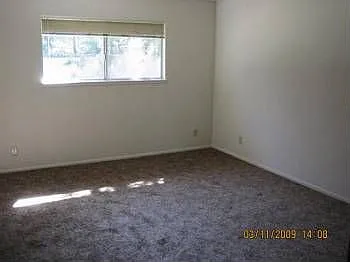 6584 Tikker Ln photo 1