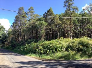 11 2889th #1, Mountain View, HI 96771