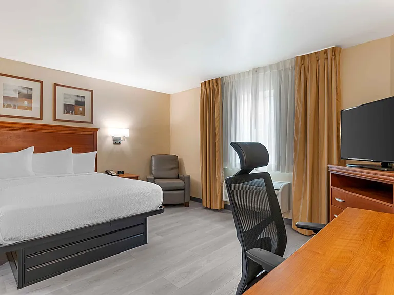 Studio Suite - 1 Queen Bed