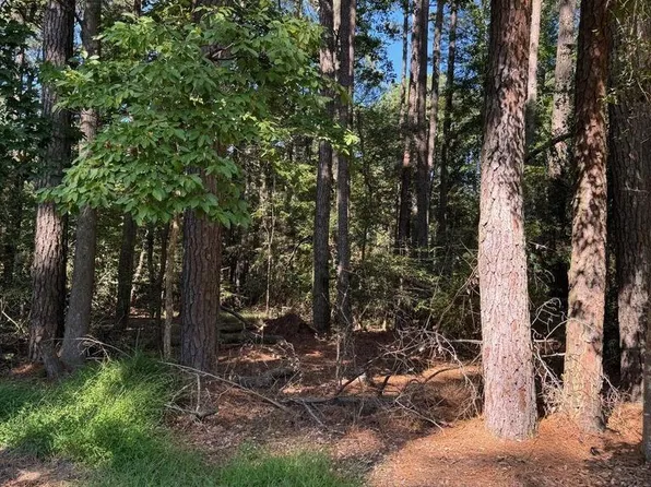 LOT 871 Broadside Dr, Greenbackville, VA 23356