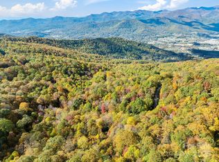 99999 Lytle Cove Rd, Swannanoa, NC 28778