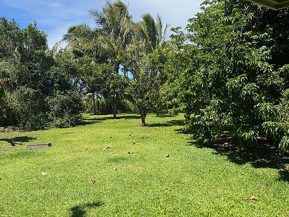 2 acres of land and beauty