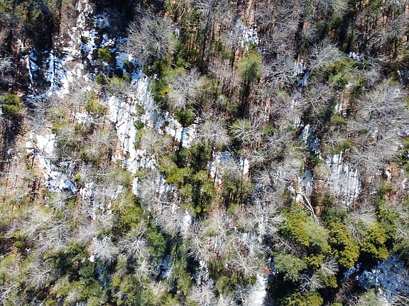 5th image of 631 River Road