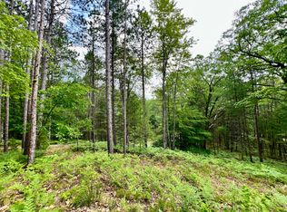 1750 Birchwood Spgs NE, Kalkaska, MI 49646