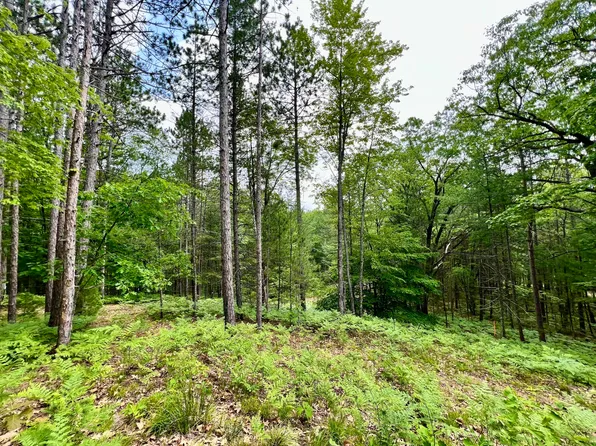 1750 Birchwood Spgs NE, Kalkaska, MI 49646
