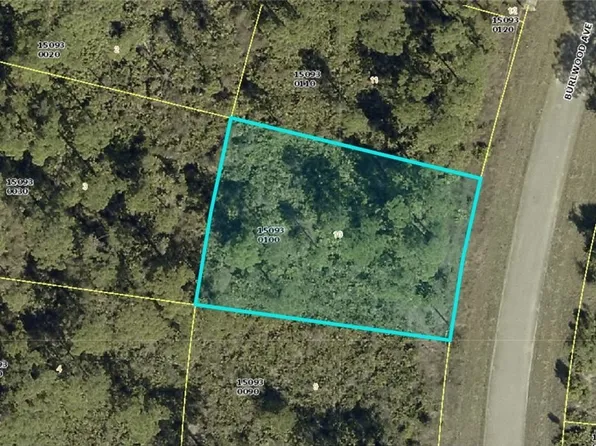 1254 Burlwood Ave, Fort Myers, FL 33913