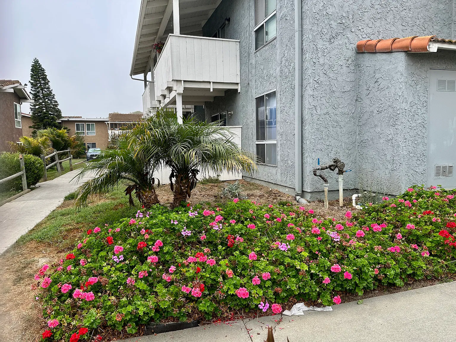 1300 Saratoga Ave — Photo 2