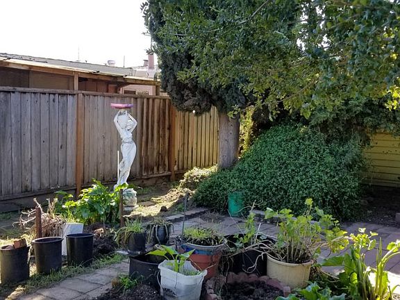 5th image of 10310 Athene Dr