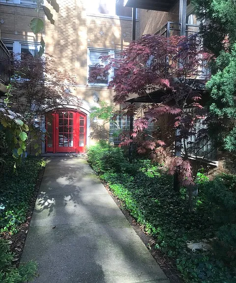 Picture of courtyard in summer