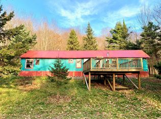 66 Blackberry Ln, Andes, NY 13731