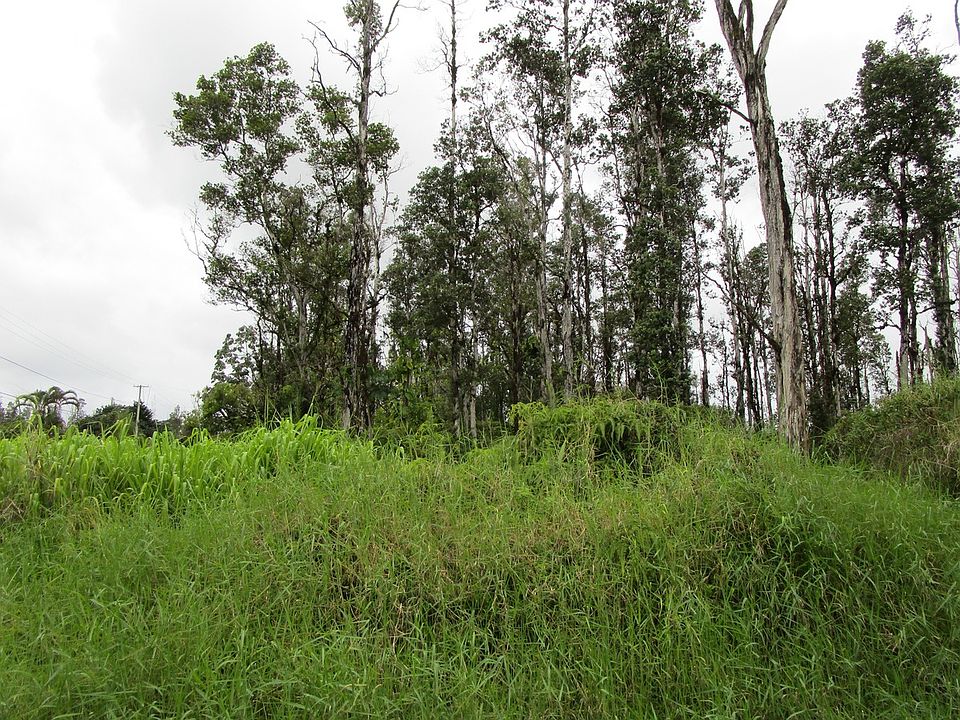 2nd image of Tangerine Dr Lot 88