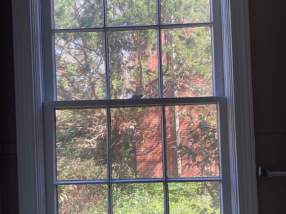 View from bathroom window